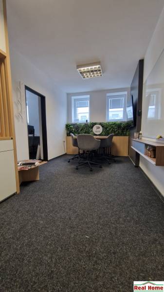 Offices with carpeted floors, a desk and chairs, decorated with greenery.