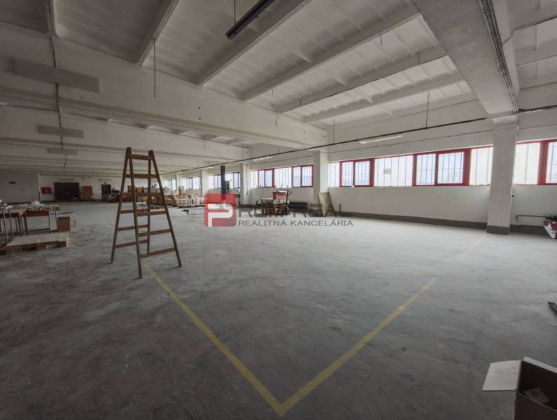 A space with high ceilings, light, and a ladder in the production area.