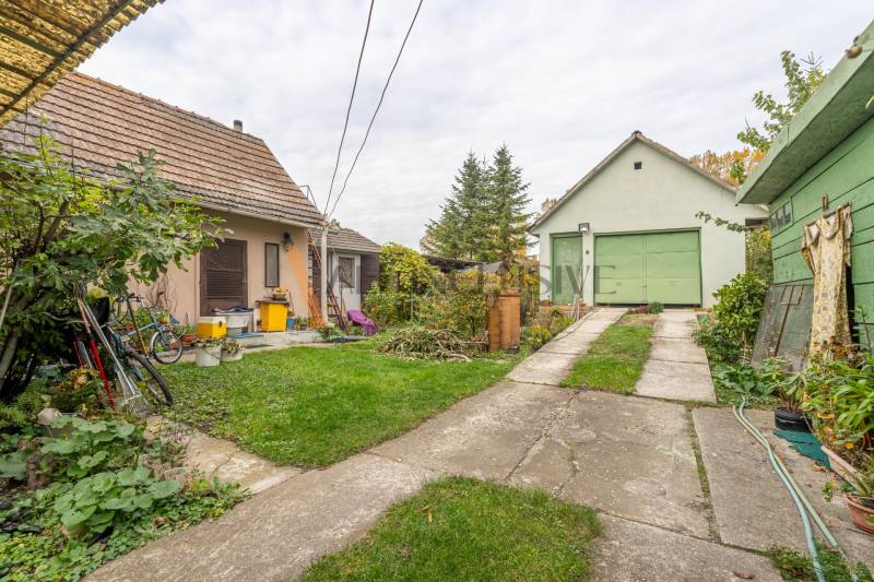 The yards of a family house in Veľké Dvorníky with greenery and farm buildings.