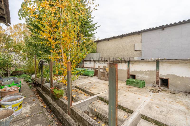 An autumn garden at a family house in Veľké Dvorníky with colorful leaves on the trees.