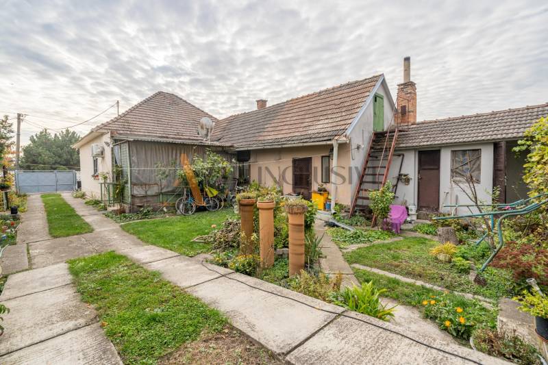 The yard of a family house in Veľké Dvorníky with a lawn, plants, and buildings.