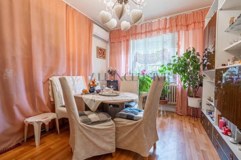 Dining room in a family house, threads on the wall, houseplants, floor with wooden decor.