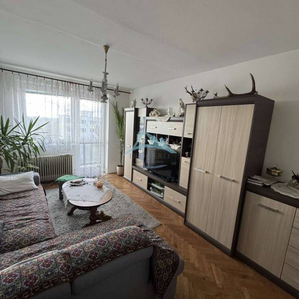 Living room in a 4-room apartment with carpets, plants, and a wooden decor floor.