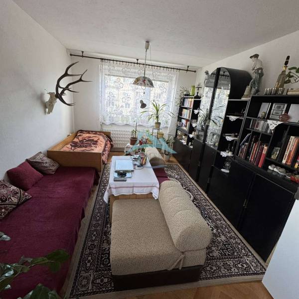 Living room with a sofa, armchairs, shelves, plants, and decorations in a 4-room apartment.