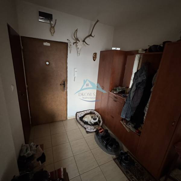 A hallway in a 4-room apartment with coat hooks, a dog bed, and decorative antlers on the wall.