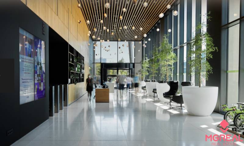 Reception in an office with glass walls, plants, and comfortable seating.