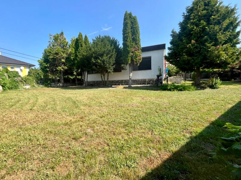 A family house in Ivanka pri Dunaji surrounded by a garden with coniferous trees.