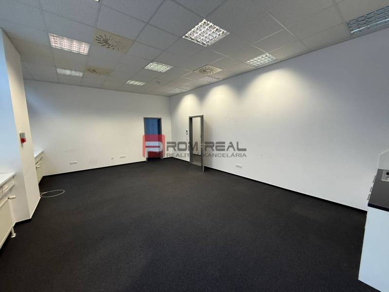 Offices with snow-white walls and dark carpet, with a suspended ceiling.