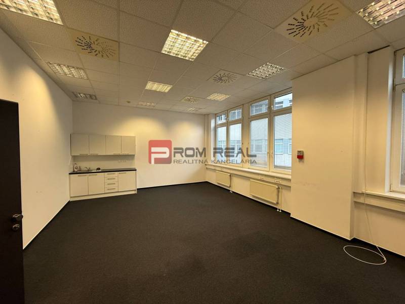 The office has white cabinets, carpets, ceiling lights, and large windows.