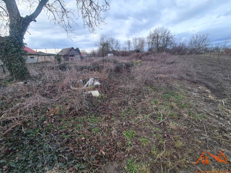 Plots - housing in Martovce with trees, a wooden cottage, and mostly untamed vegetation.