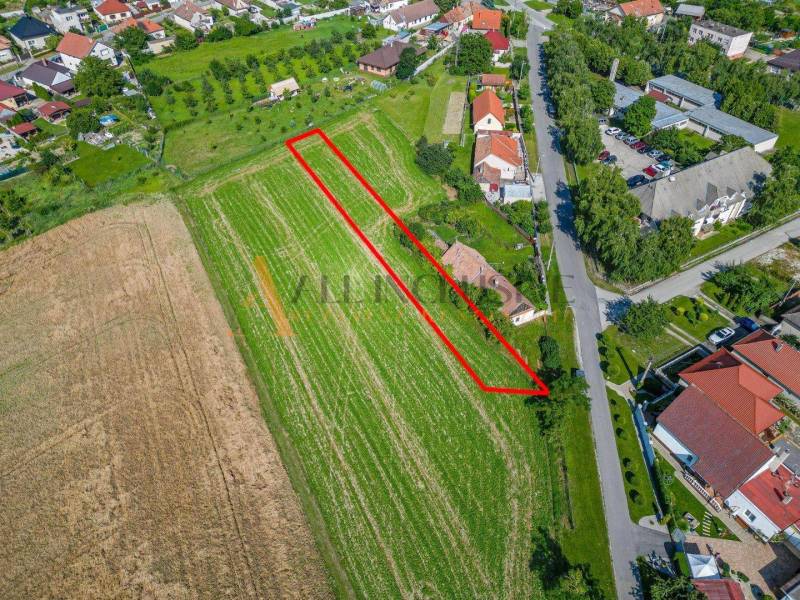 A view of the plot in the gardens in Kosúty in Košúty, highlighted by a red line.