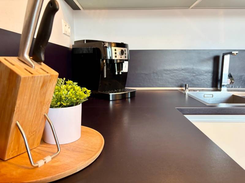 Kitchen in a 2-room apartment with knives, a coffee maker, and a decorative plant.