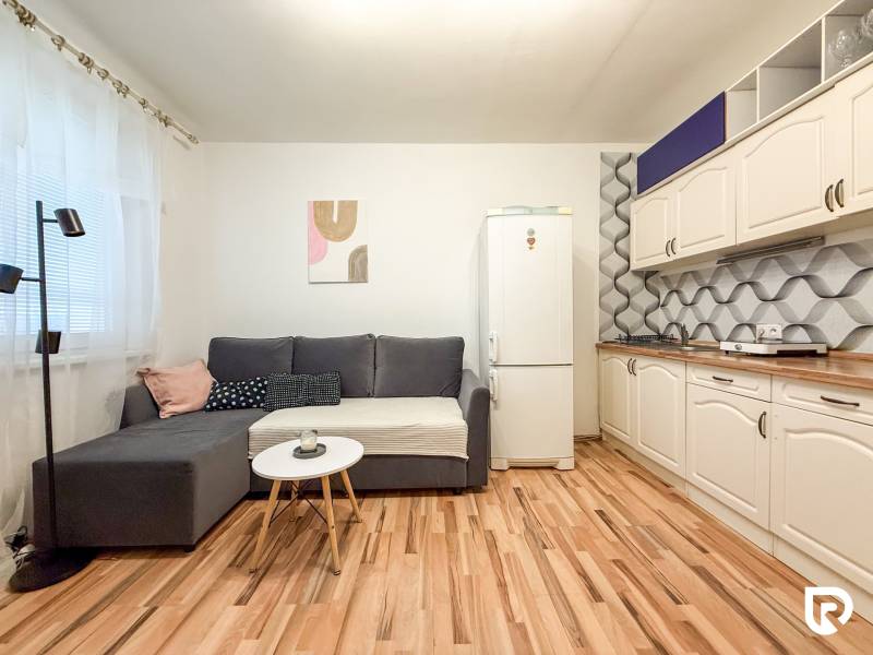 A studio apartment with a wood-patterned floor, a gray sofa, and a kitchen unit.