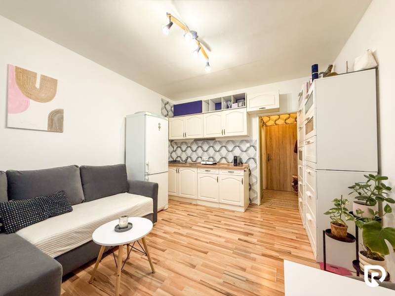 Studio apartment with a sofa, wooden floor decor, and a kitchenette, complemented by plants.