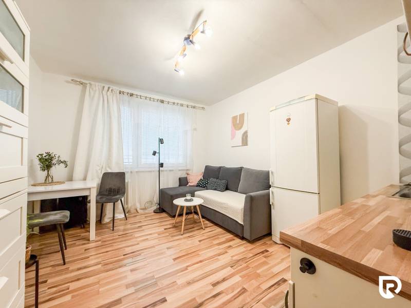 Studio apartment with wood-patterned flooring, gray sofa, and white refrigerator.