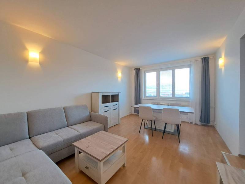 Living room in a 4-room apartment with a wooden decor floor and a gray sofa.