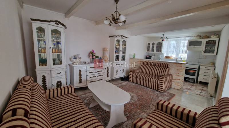 Living room in a family house with sofas, wooden cabinets, and a carpet.