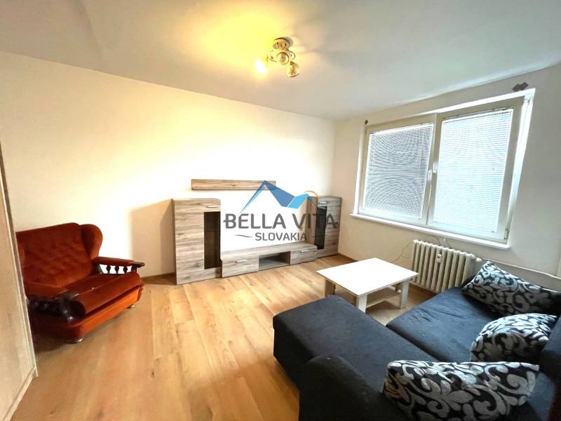 Living room with wood-patterned flooring in a studio apartment with a sofa, an armchair, and a cabinet.
