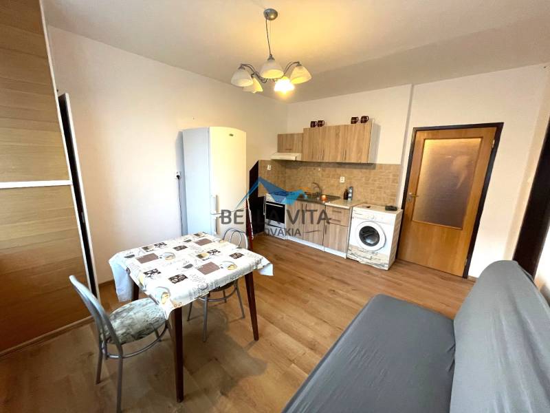 Interior of a 1-room apartment with a kitchenette, living room, and wooden decor flooring.