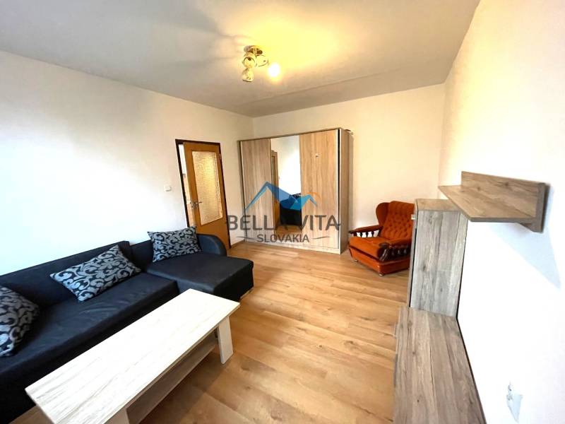 Living room in a studio apartment with a sofa and wood-patterned flooring.