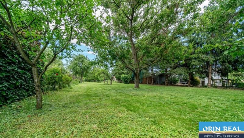 Greenery and trees on residential plots on Okružná Street in Bernolákovo.