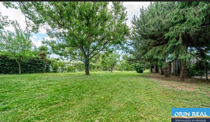 Greenery and trees on a residential plot in Bernolákovo on Okružná.