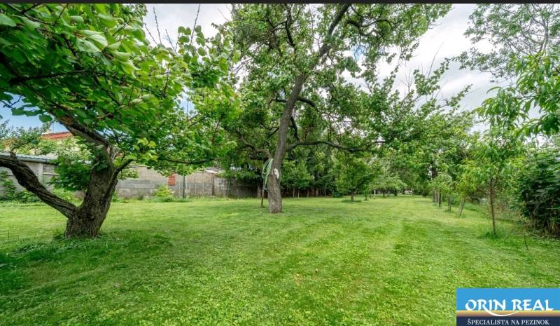 Greenery and fruit trees on residential plots on Okružná in Bernolákovo.