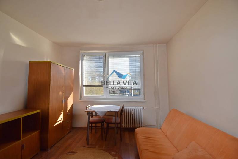 Studio apartment with a sofa, table, and wardrobe, floor with wooden decor.