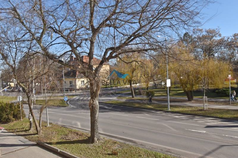 Greenery with bare trees along Hlavná Street in Galanta, Studio apartment near the roundabout.