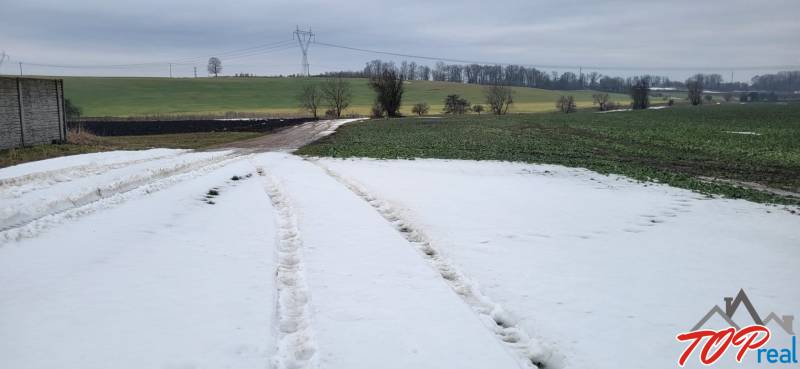 A snowy country road leading through residential plots near Seňa.