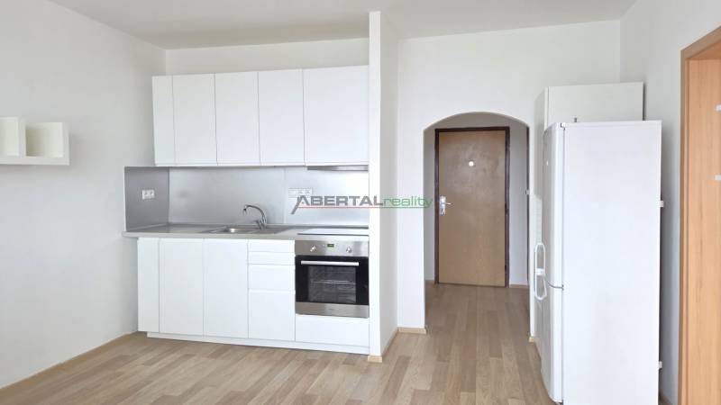 Studio apartment with a kitchenette, white cabinets, and a wood-patterned floor.