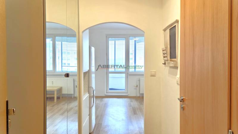 Bright studio apartment with wood-patterned flooring and large windows.