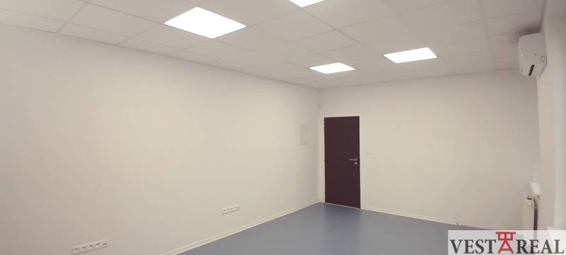 Office with white walls, dark doors, and ceiling lights.