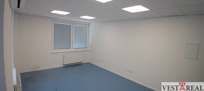 Offices with blue carpet, white walls, and ceiling lighting.
