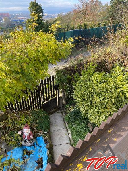 A garden at the cottage in Vyšné Opátske with a pathway, greenery, and garden decor.