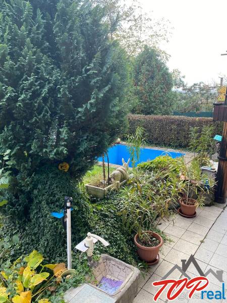 The garden of the cottage in Košice - Vyšné Opátske district with a swimming pool and plants.