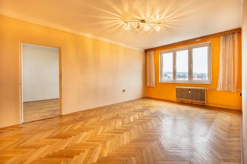 2-room apartment with wood-patterned flooring and a large window, orange walls.
