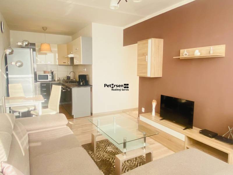 Living room in a two-room apartment with a sofa, TV, kitchen, and wooden decor flooring.