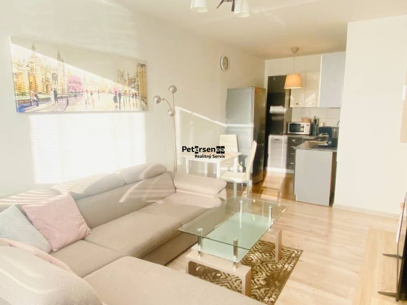 Living room with a sofa and kitchen, 2-room apartment, floor with wood decor.