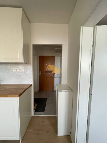 A hallway with a kitchen unit and a wooden decor floor in a studio apartment.