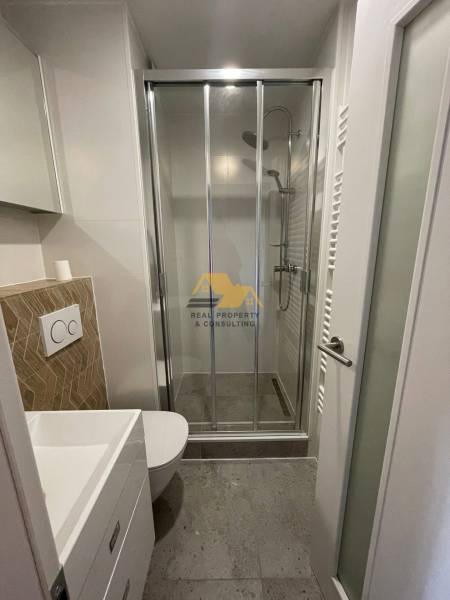 Compact bathroom with a modern shower enclosure and wall-hung toilet in a studio apartment.