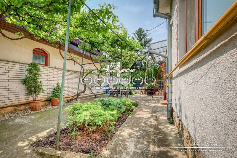 Garden of a family house in Trnava on Sunny Street with vines and greenery.