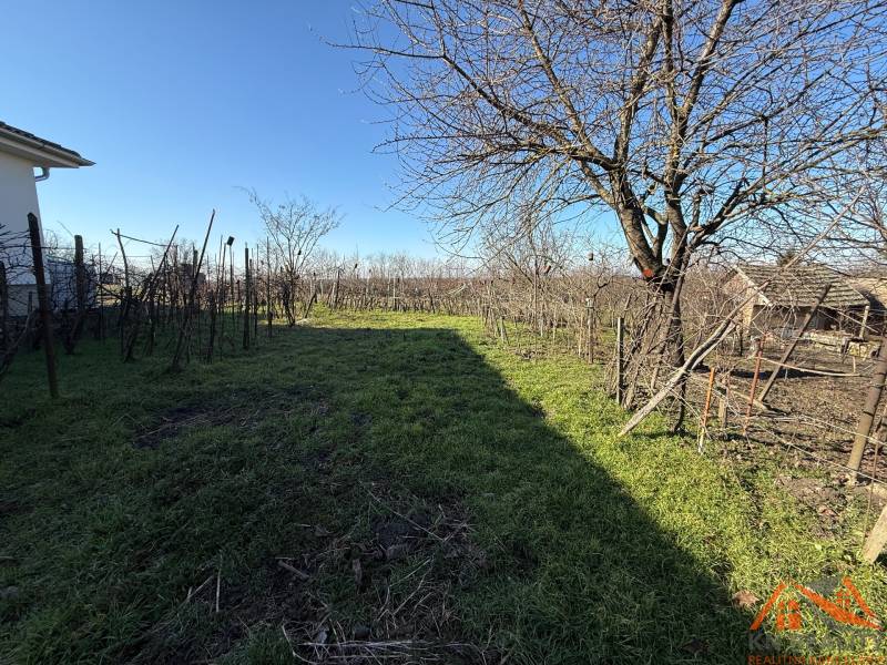 Land on Cintorínska Street in Svätý Peter with vineyards and trees.