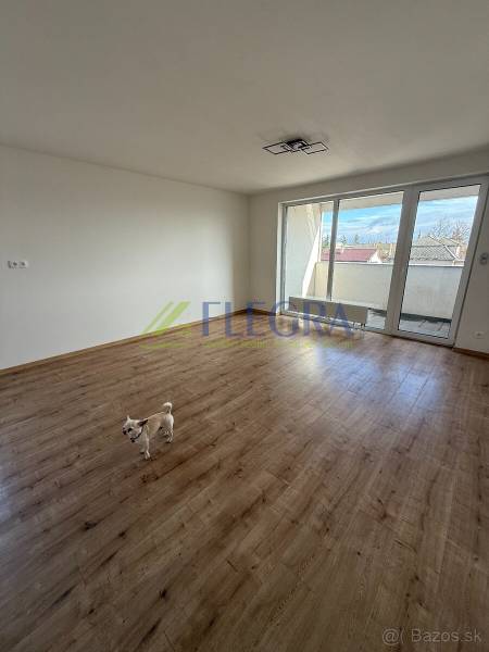 A spacious room in a 2-room apartment with a wood-patterned floor and a balcony.