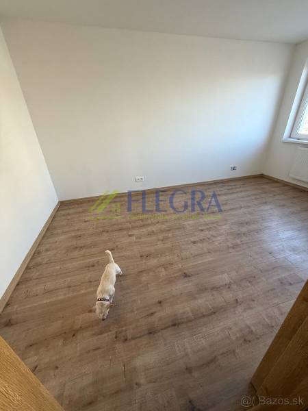 A room in a two-bedroom apartment with a wood-patterned floor and a small dog.