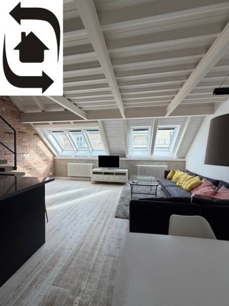 Attic living room with skylights, wooden decor flooring, 4-room apartment.