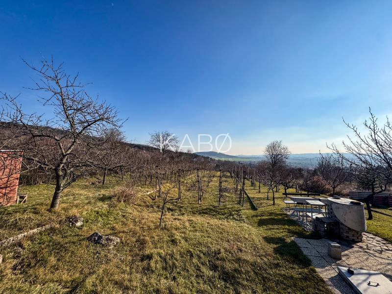 Vineyards on Ambrova Street in Nitra with a view of the hilly landscape and a table for grilling.