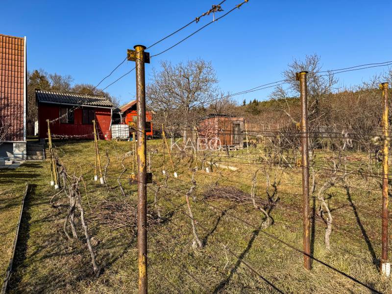 Vineyards on Ambrova Street in Nitra with cottages and management.
