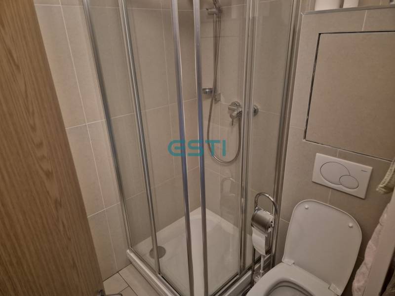 Shower corner and toilet in the bathroom of a studio apartment.