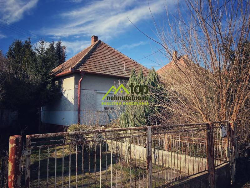 A family house in Horné Chlebany with a large tree and a fence, blue sky.